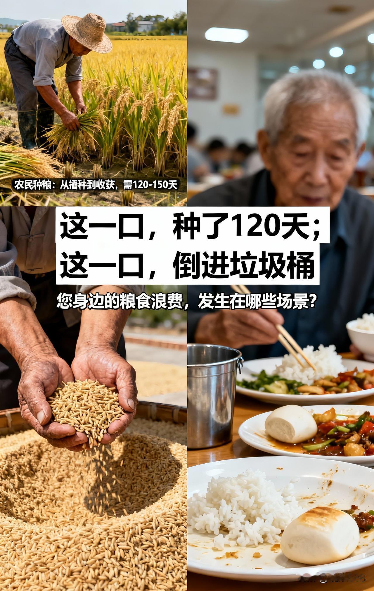 网友声音：很气愤，有些人不珍惜粮食。农民种粮不容易，粮食来之不易。我们从小老师就