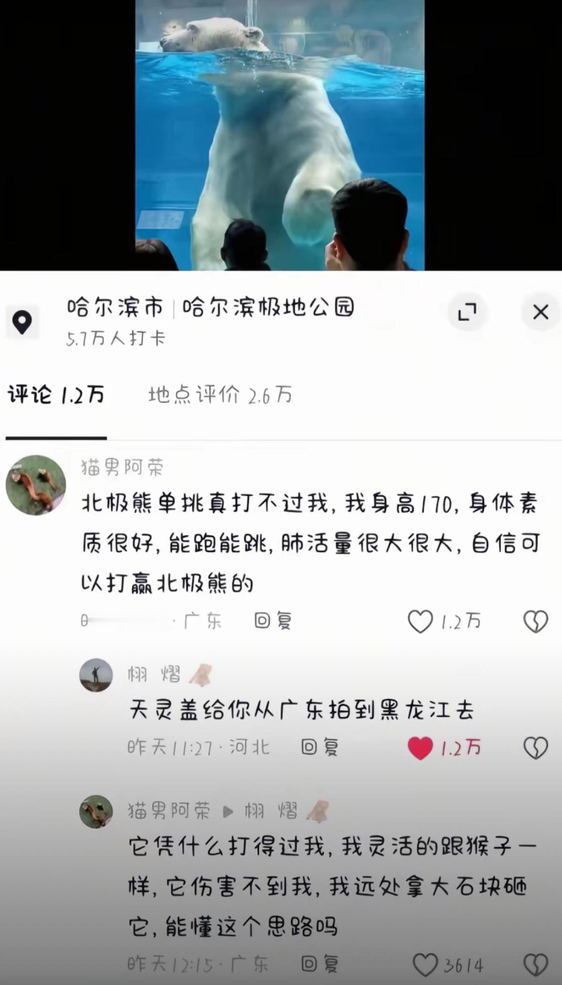 一想到我上网是在和谁吵架我就觉得没必要了​​​