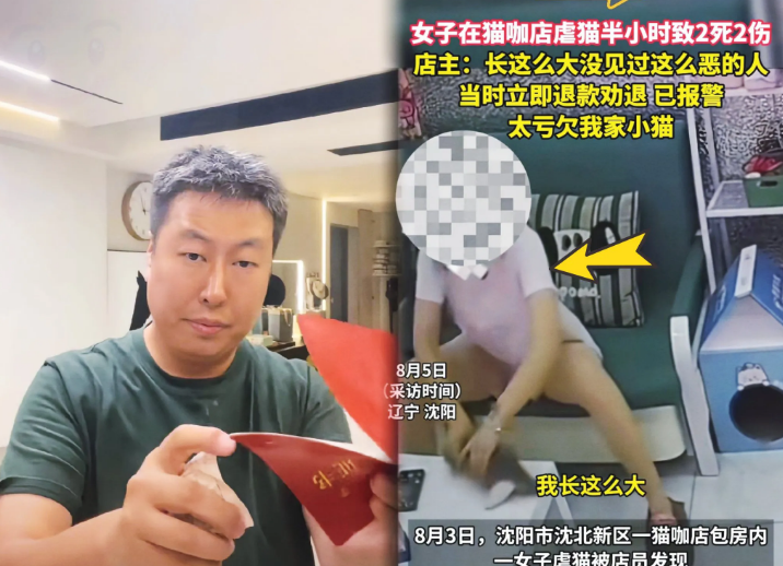 沈阳猫咖事件持续发酵！店老板撕毁沈阳户口本和毕业证说：“我已经把所有财产转移，