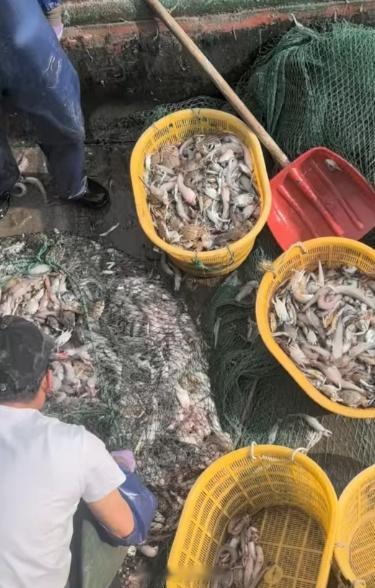 【温州包船出海，太失望了！】网友爆料，花1200元出海，18.8公里外只捞一小堆