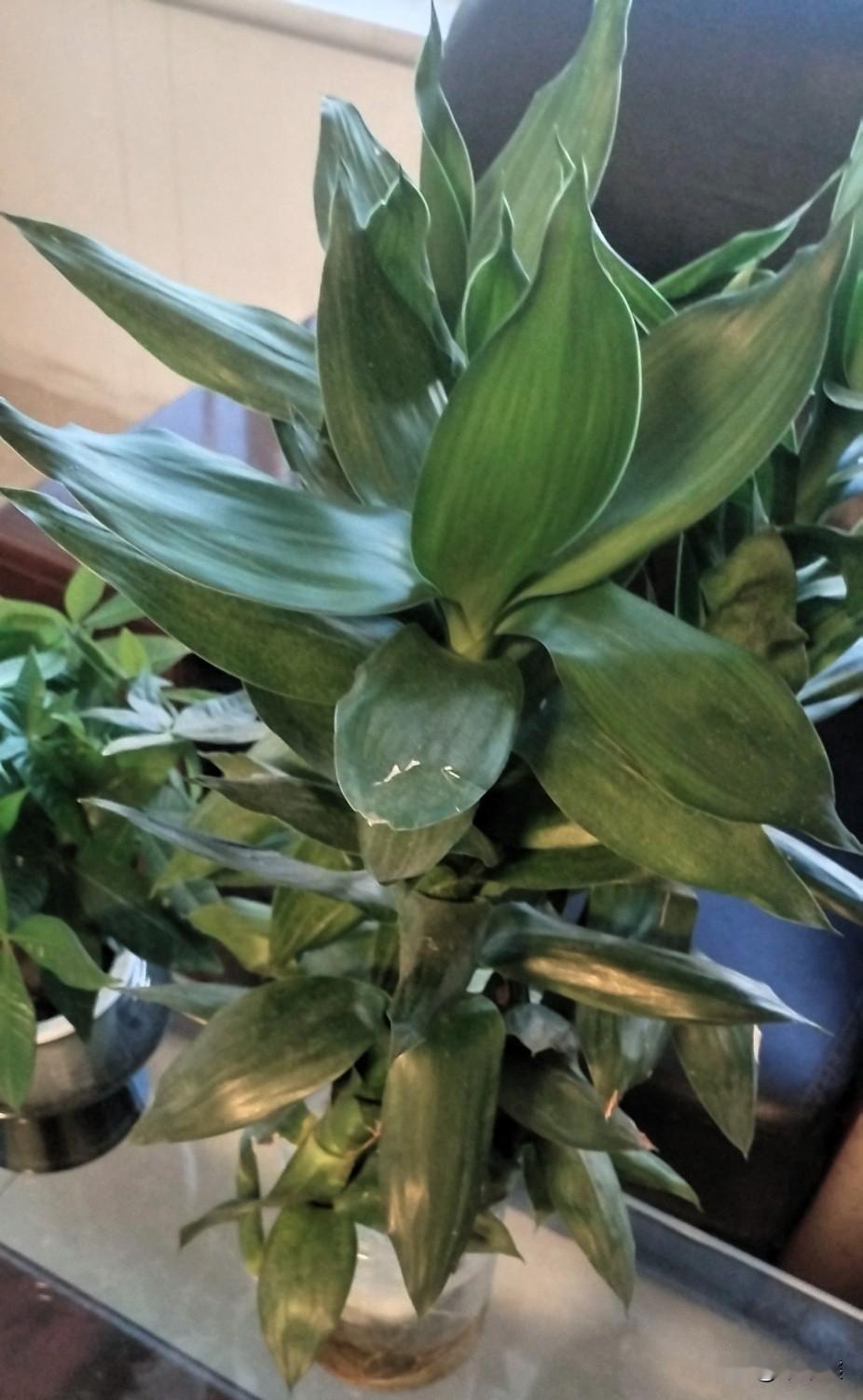 响水金店的婷姐47秒视频给大家提了个醒不论男女千万别背叛婚姻，不然后果不堪设