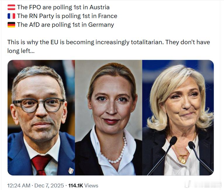 奥地利自由党（FPO）民调领先法国国民联盟（RN）民调领先德国另类选择党（AfD