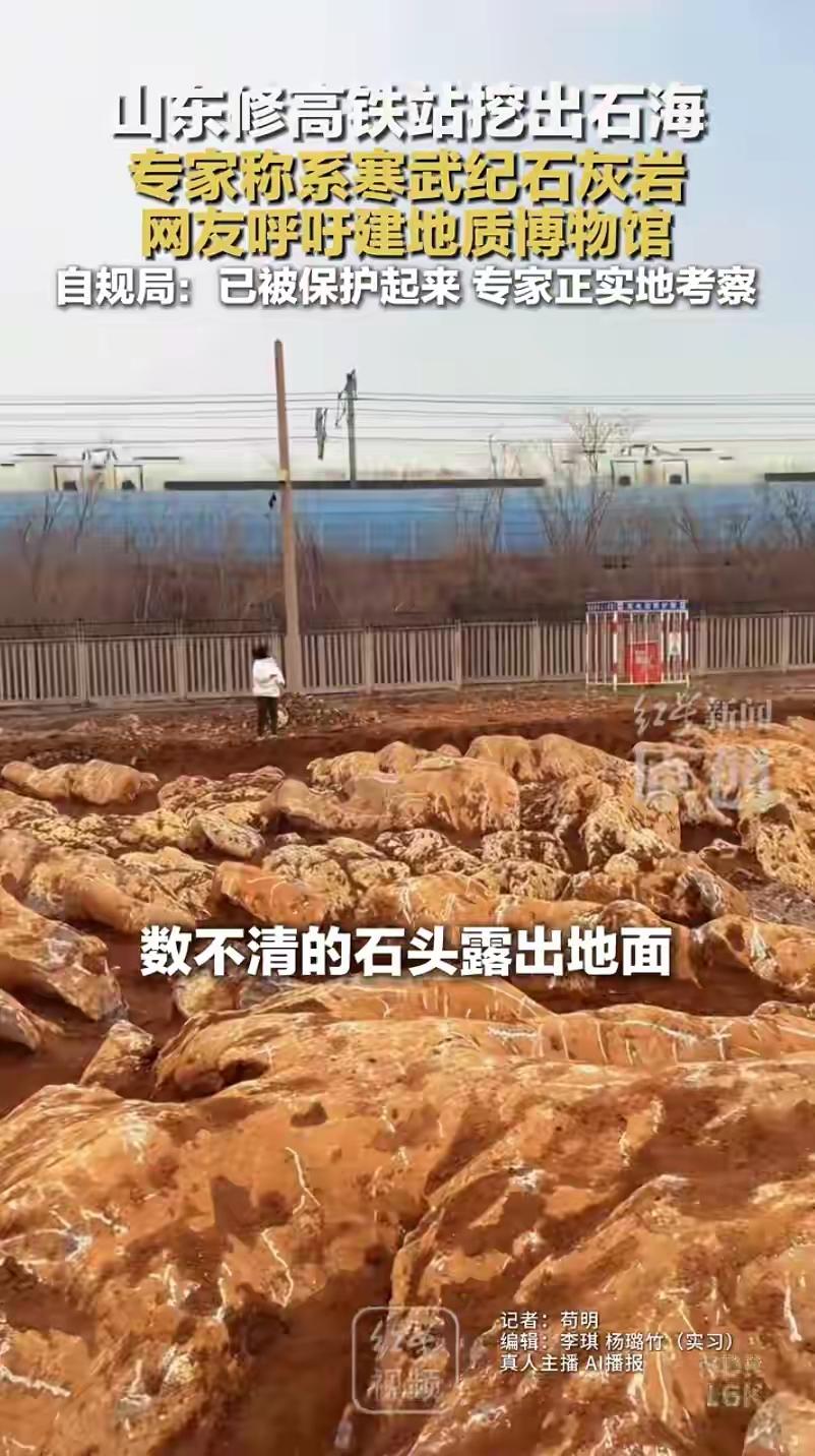 山东宁阳高铁工地惊现沉睡五亿年“石海”奇观！专家揭秘寒武纪海底之谜，网友直呼：这