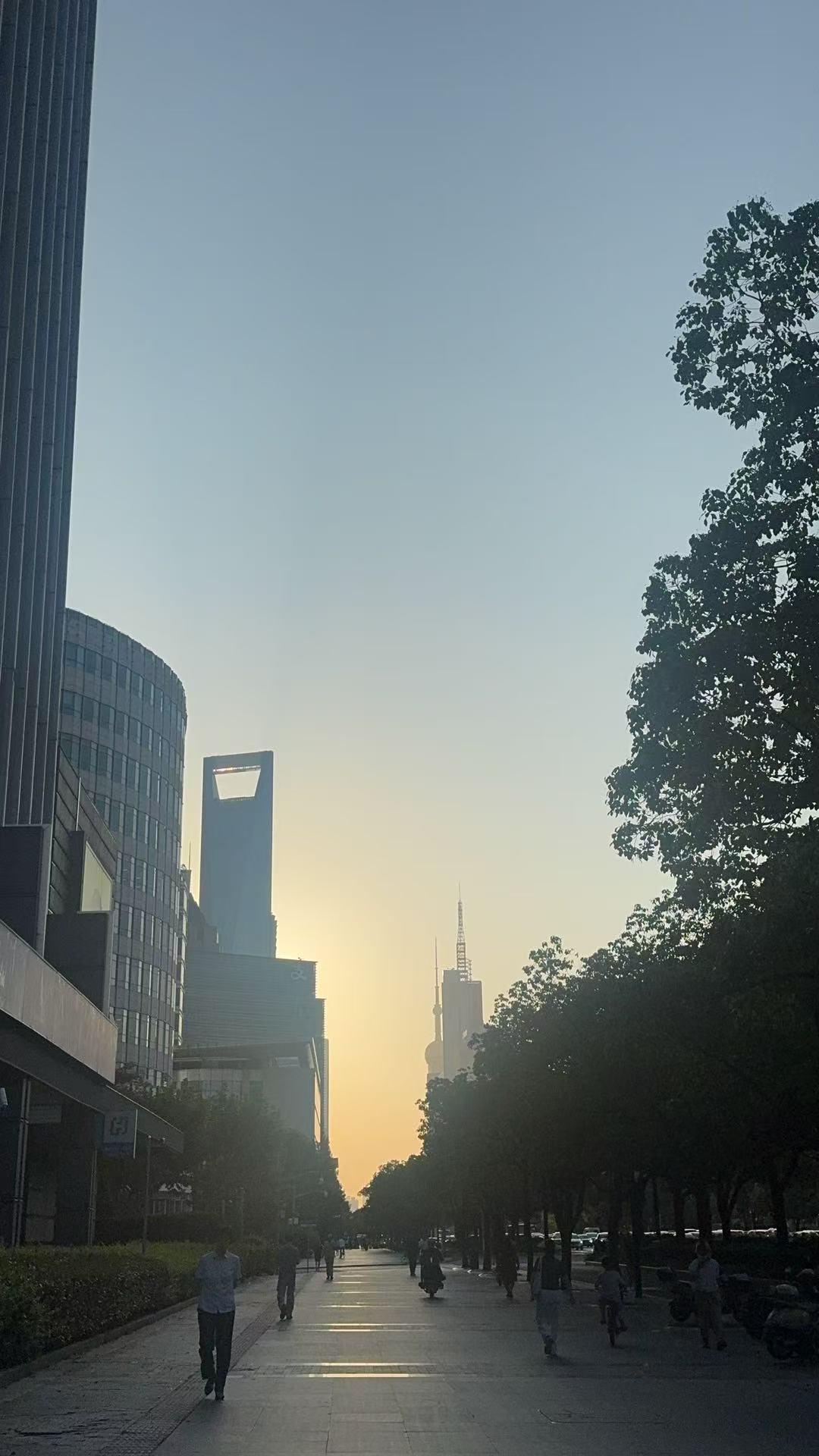监管重拳落地，携程因垄断行为被罚没超51亿元，国航、南航等十家航司，携程、飞猪等