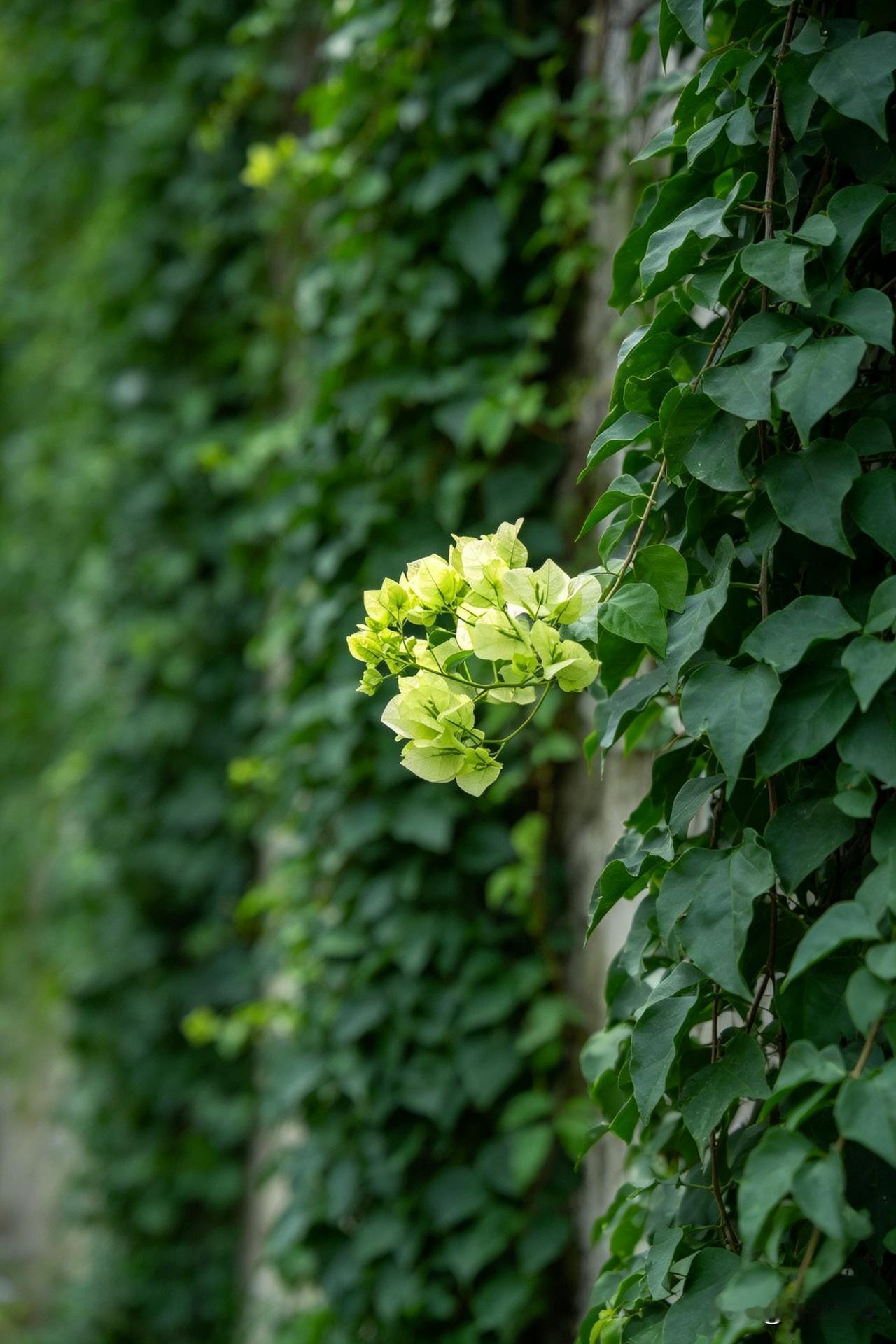 很通透的话:“一个人真正的觉醒，是对所有关系的绝望。生活中，人走茶凉是常态，物