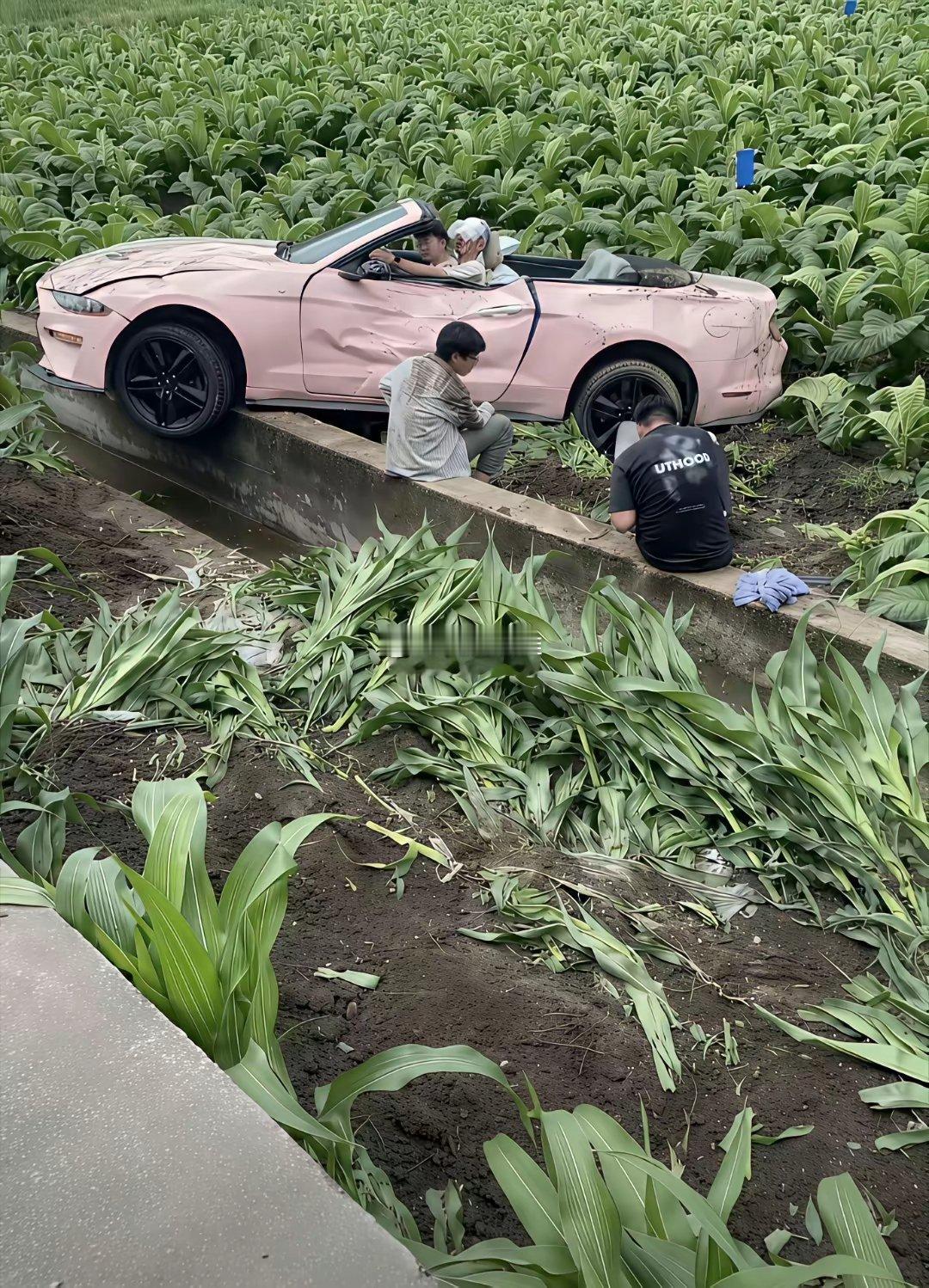 去云南玩租车还是小心点吧车技不好就是一个倾家荡产，年纪轻轻一身债喽