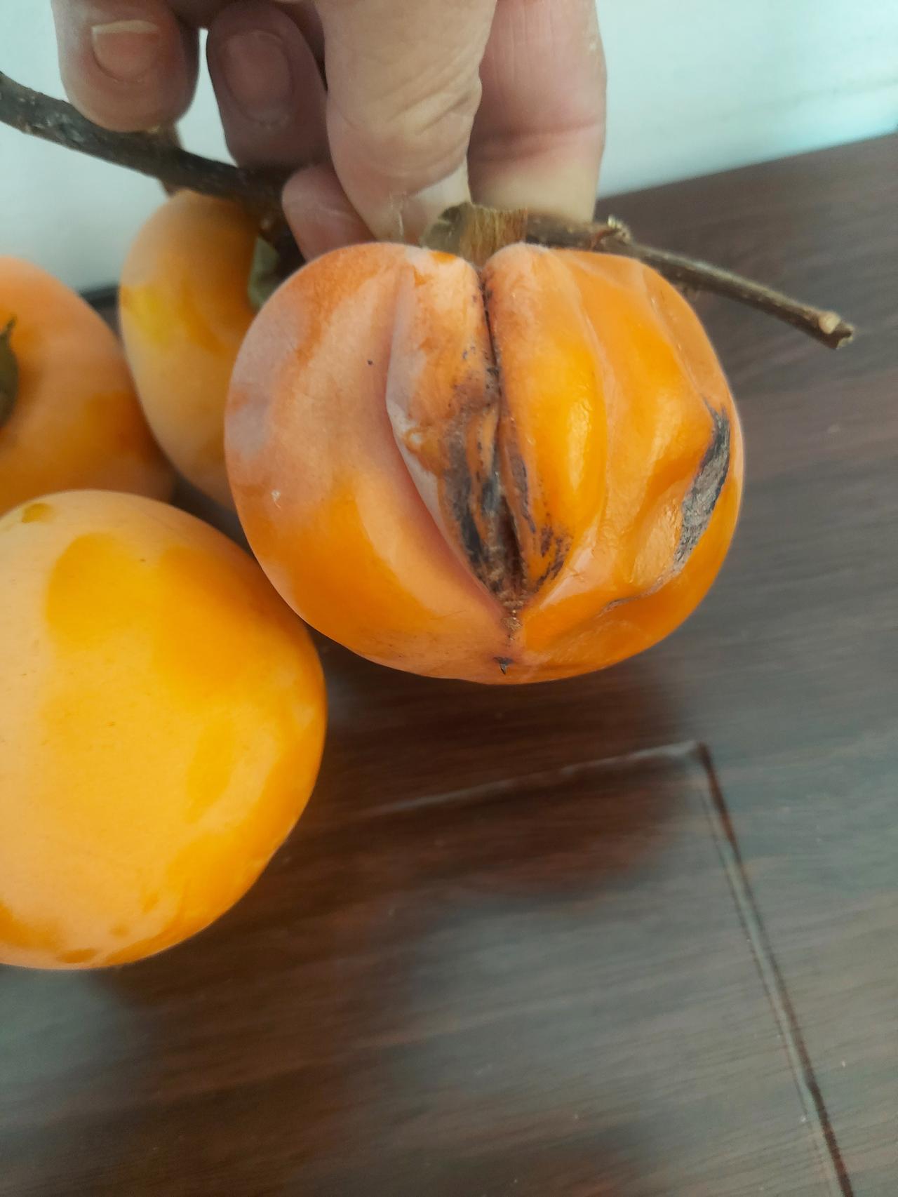 项立刚说：​前一段我和黄斌一起吃饭，我们两个人有7个孩子，4个硕士学位，对了，