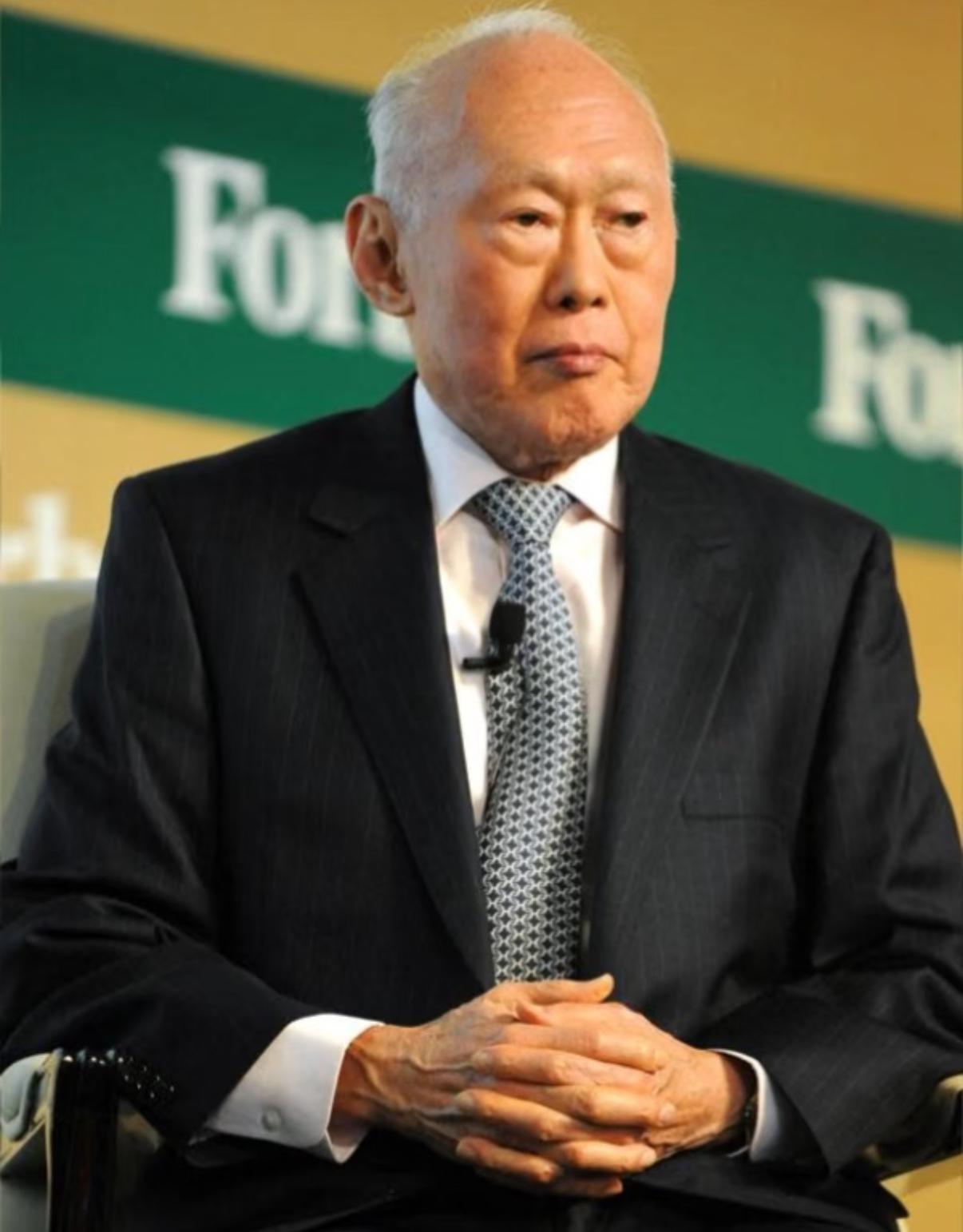 新加坡有个专家说了句掏心窝子的话，我听了后一晚上都没合眼。他说，整个亚洲