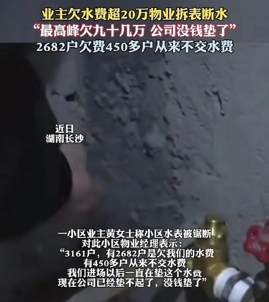 湖南长沙一业主称自己家的水表被物业强制割断，物业解释称，他们全小区有3161户业