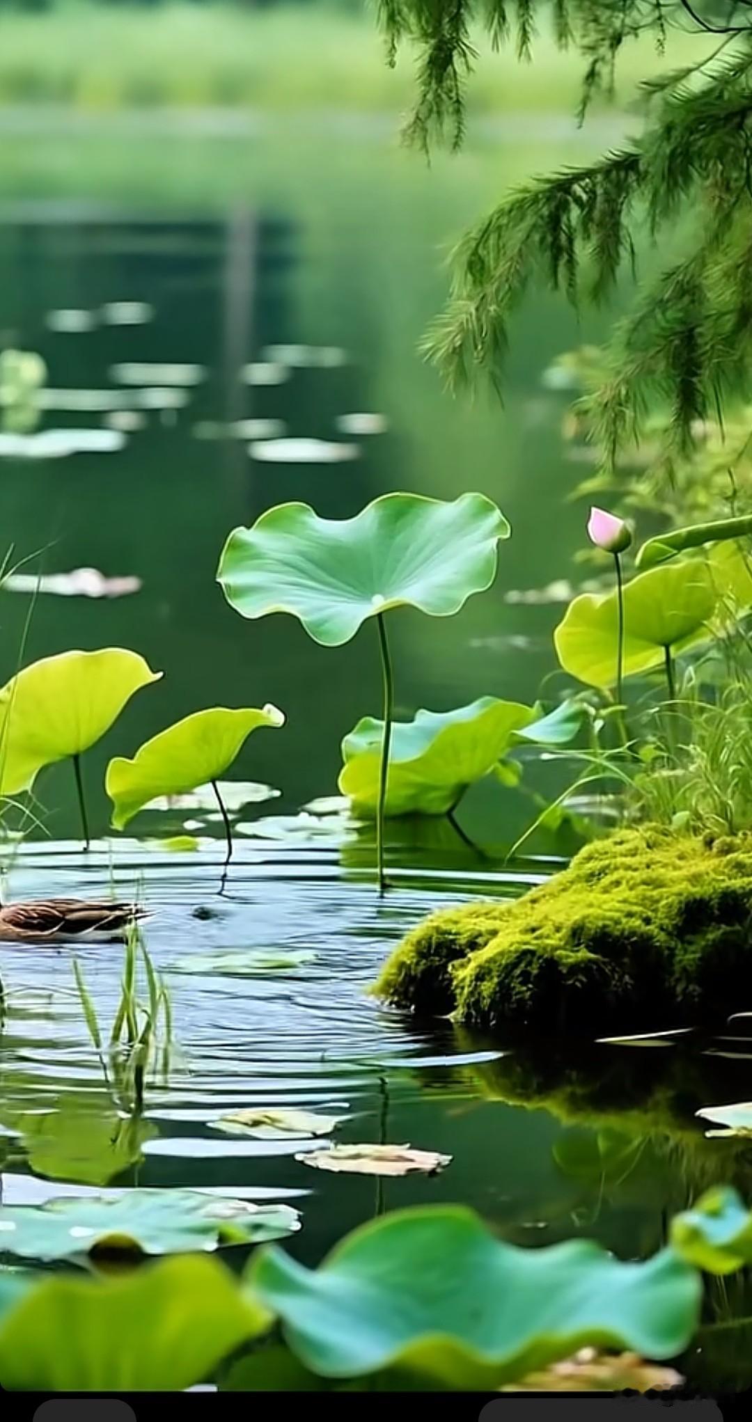 七律·红尘痴梦弹指间利锁名缰总挂牵，争奈虚名似雾烟。胸有丘壑行自稳，心