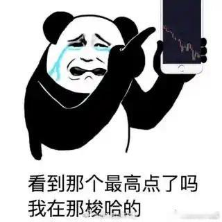 今天不吹牛，今天自曝求主力放过。🙃
