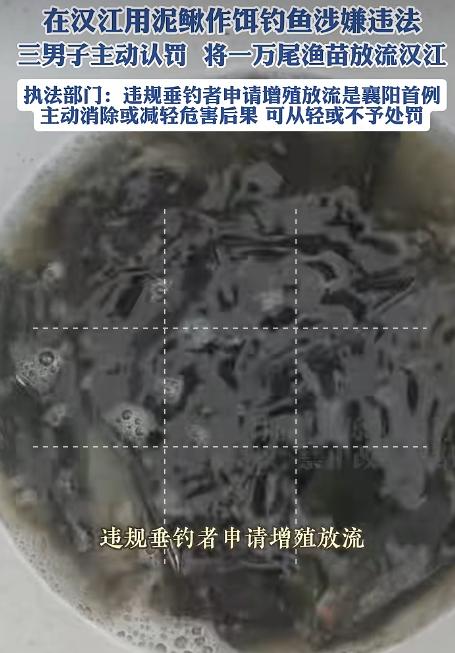 惩罚太轻了！湖北襄阳，3名钓鱼人在汉江钓鱼的时候，挂泥鳅钓，结果被渔政工作人员逮