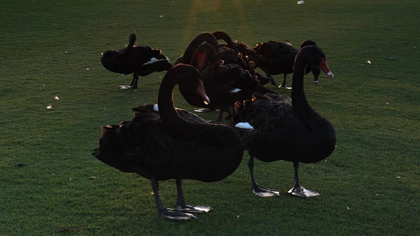 生活手记在桂林，我找到了一个能治愈所有疲惫的仙境——桂海晴岚。这里被誉为“桂林