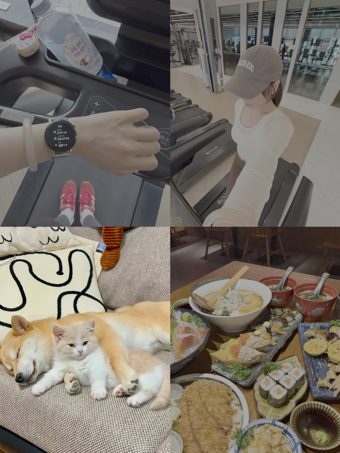 #运动与美食