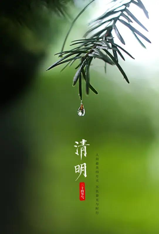 为何清明节前后常下雨？因为清明的雨是思念凝结成的泪滴。唯有不见太阳，逝去之人才能