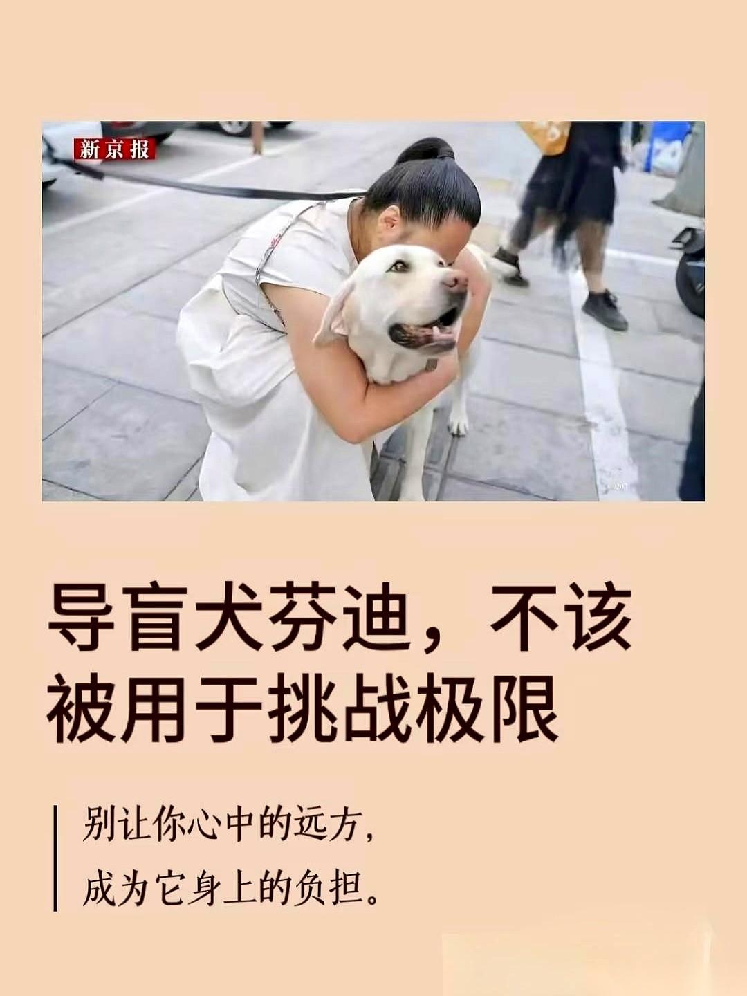 右腿磨损,脚掌严重磨损,肌肉拉伤,体重掉了快五斤。这不是什么战损报告,这是一条