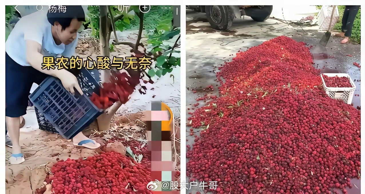 福建漳州第一个爆出杨梅泡药的是这位阿姨，本来是善意提醒，无心之失毁掉整个产业，她