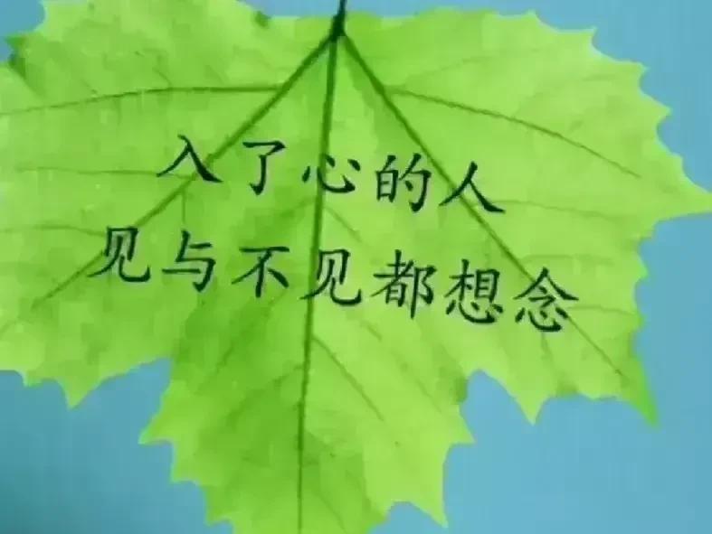 我第一次这么喜欢一个人即使这辈子无法和你在一起你也是我心里最爱的人我也
