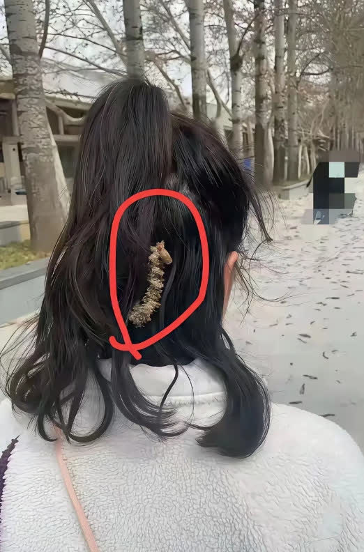 浑身鸡皮疙瘩都起来啦！！！