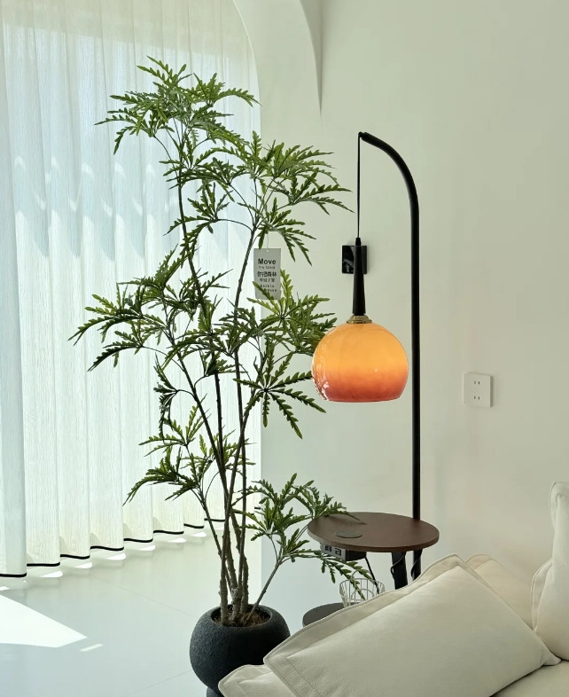 奶油中古风灵魂绿植！招财孔雀木养不噶指南