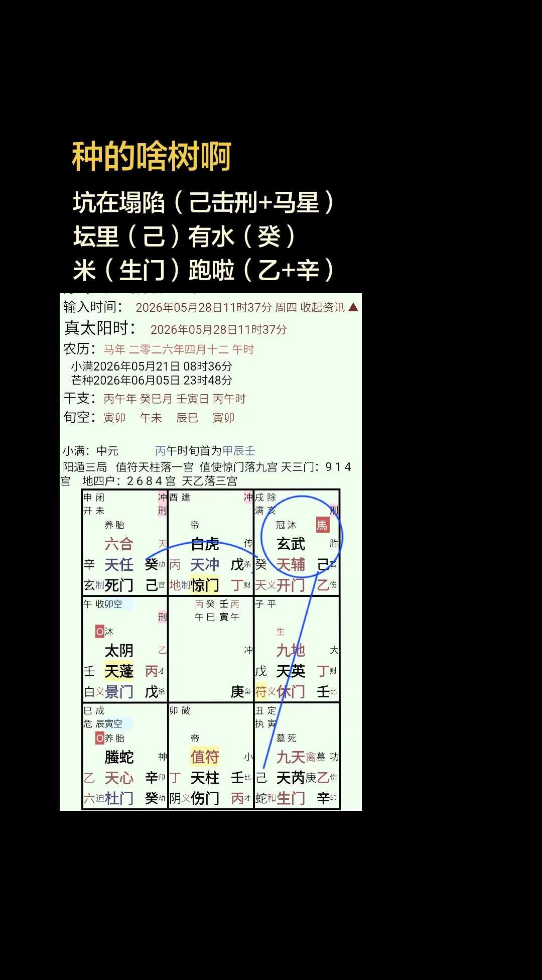 种树。