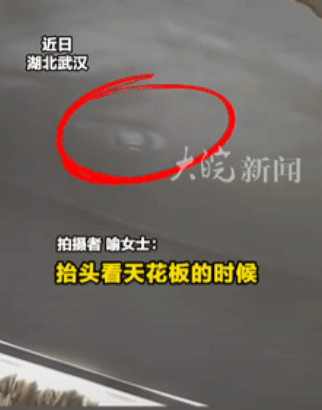 “长见识了！”湖北武汉，一女子午睡前，将卧室的窗帘给拉上了，谁料，她躺在床上后，