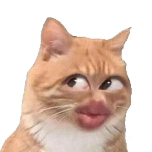 我朋友，南京土著，昨天拉着我聊了半宿代露娃这事。她说她一开始也想同情，看完整段就