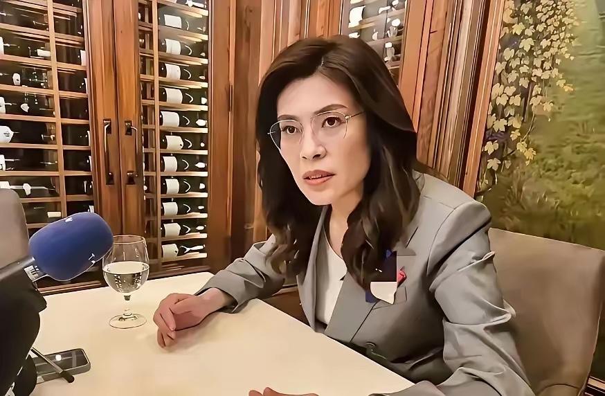 郑丽文最近又把话挑明了：从现在到下一次岛内改选这“两年窗口”，很可能决定台海是战