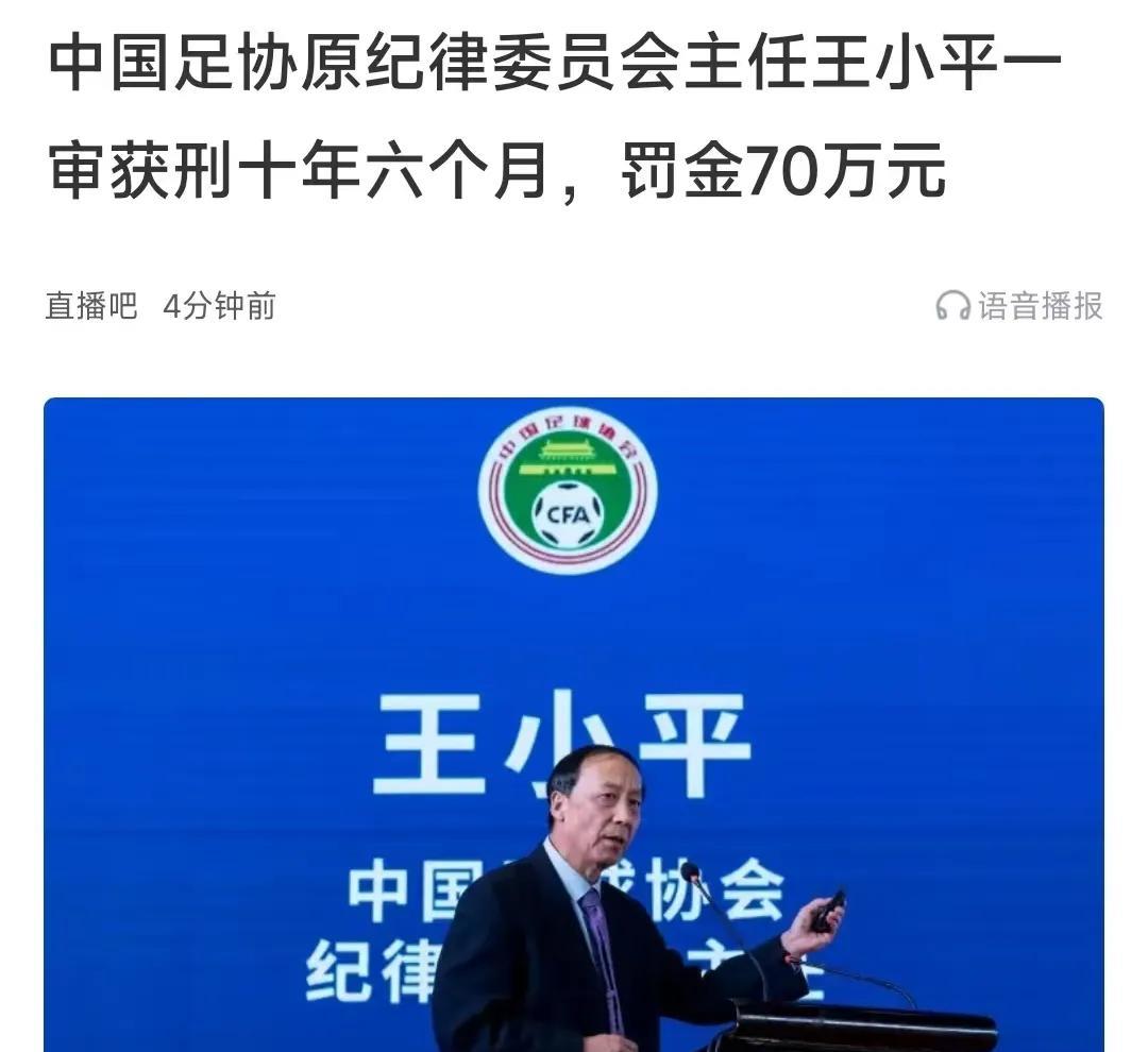看了新闻，说王小平被判了十年六个月，经常看中超的球迷应该很熟悉他，毕竟过去很多年