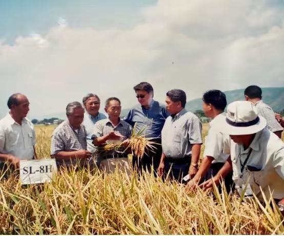 “应该立即死刑！”央视新闻在2024年4月14日曝光了一起惊天大案：我国杂交