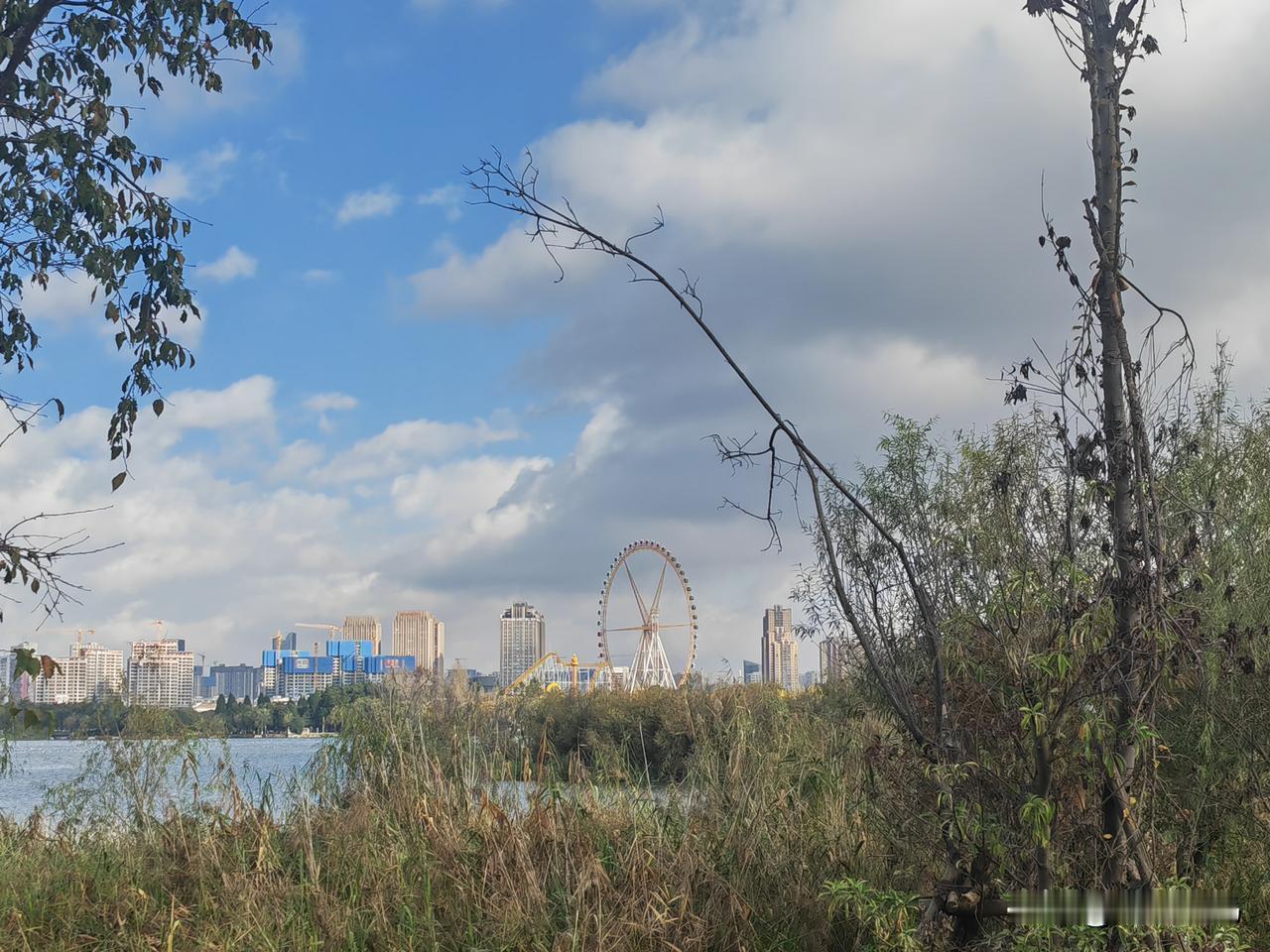 冬日草海湿地公园有什么好？这里位于滇池草海，是距昆明主城区最近的一个湿地公园。