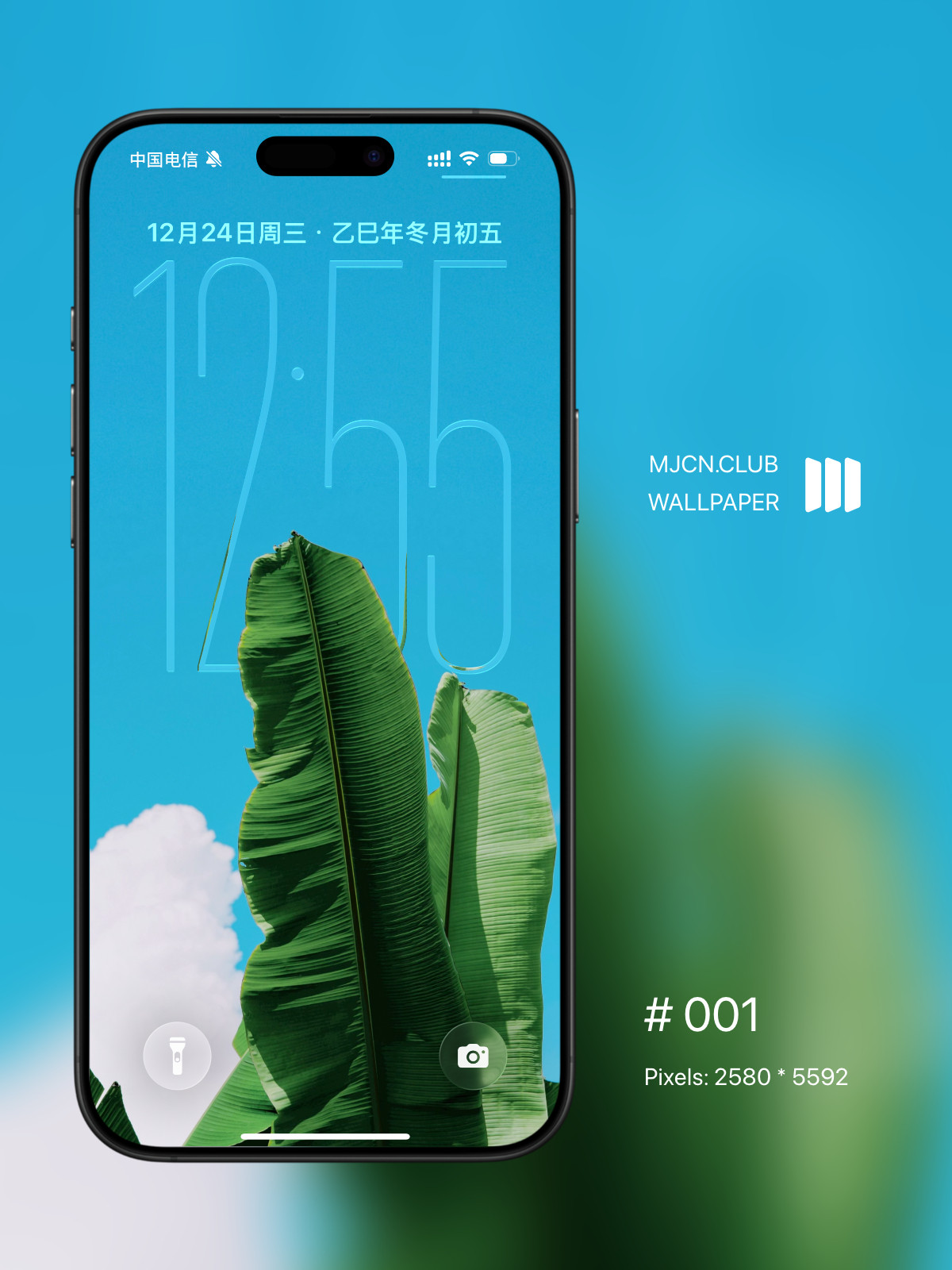 这是今日份的景深壁纸