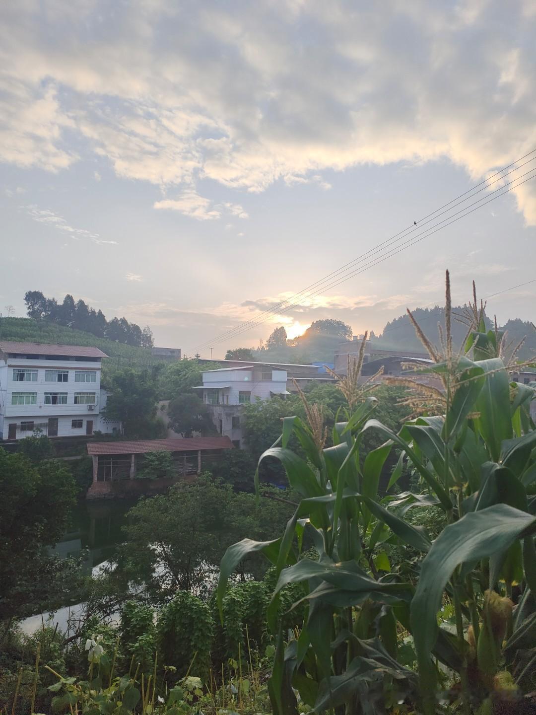 户口不在本村,如何申请宅基地?户口不在本村，想申请宅基地可不容易。按照《土地管