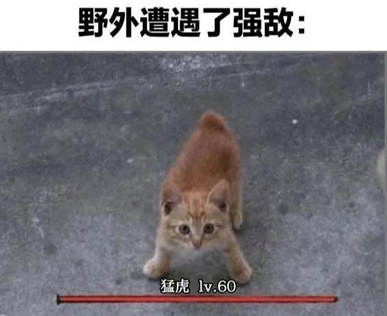 一滴眼泪有多重，要看落在谁的心上幽默搞笑梗图一滴尿不一样，落在谁身上都很在意