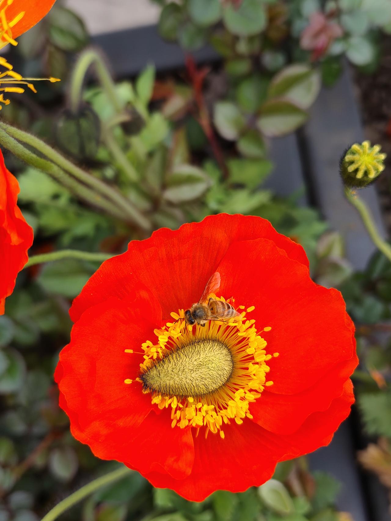 原来牙齿出现这些不对劲，都是身体在给你发信号！快看看你有没有踩坑牙齿出问
