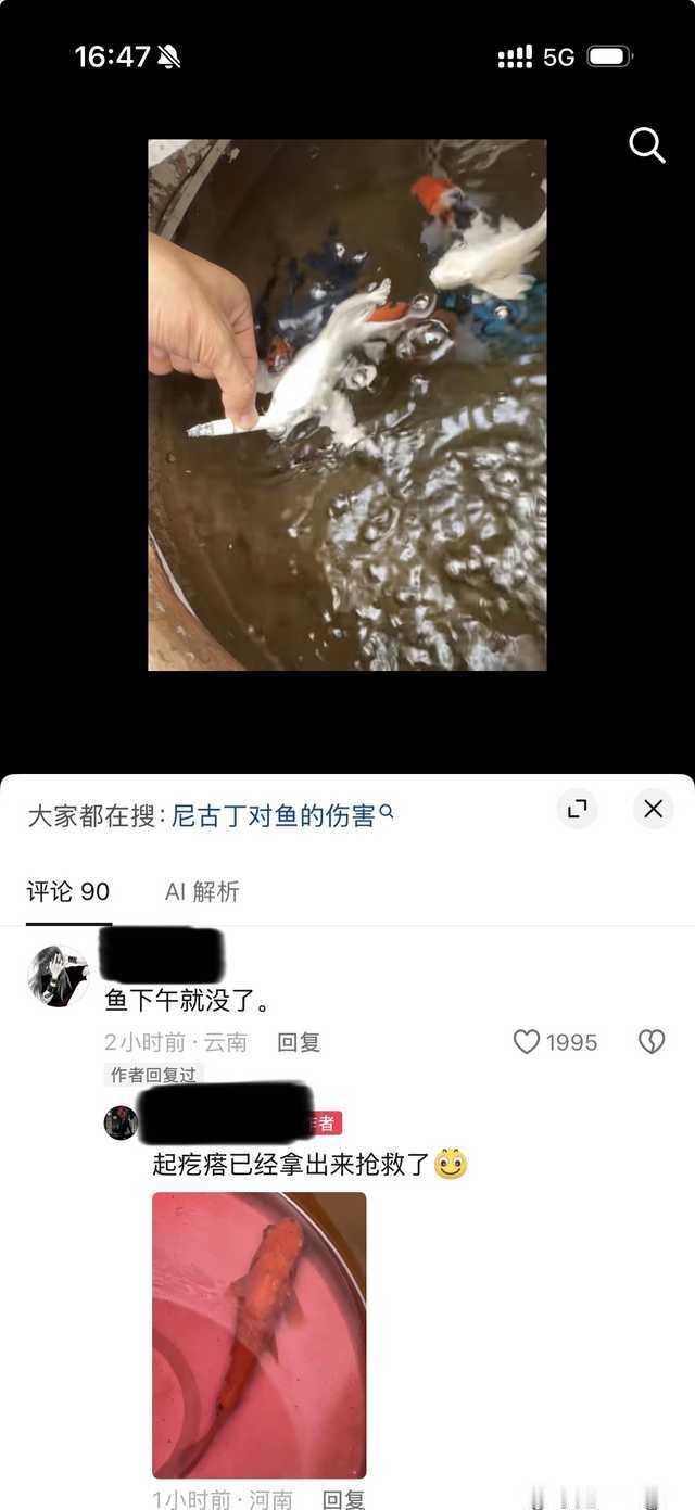 烟人继续祸害众生吧。16172​​​