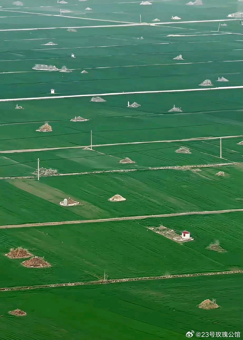 这也许就是不推行土葬的原因吧？