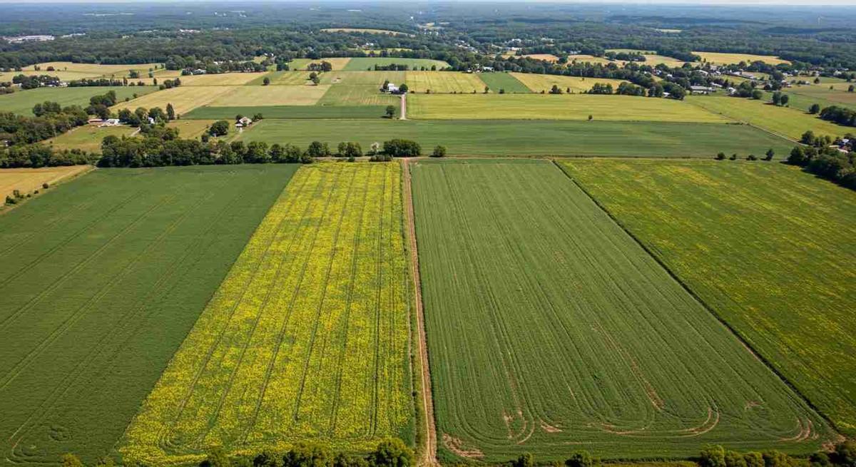 美国规模化农业的缺点是什么？大家都知道，美国农业号称“世界粮仓”，粮食又多又