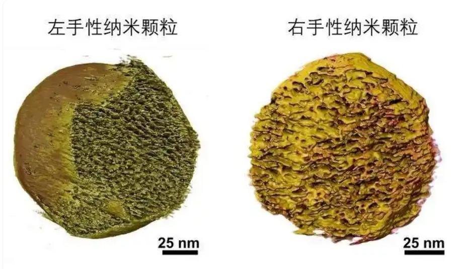 🧪肿瘤疫苗迎来“神助攻”！江南大学团队造出“左手”纳米佐剂，效率狂飙3倍！?