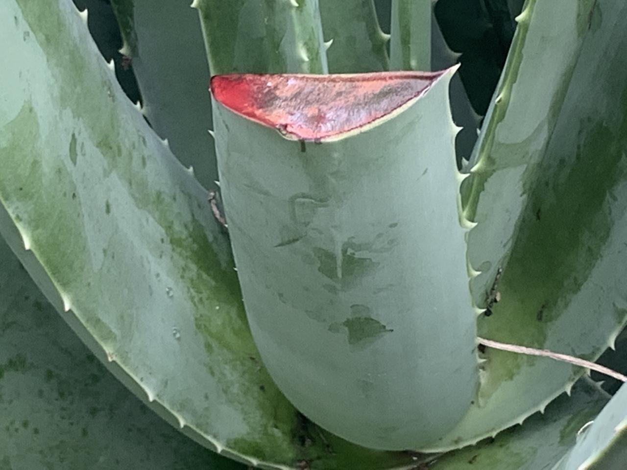 丁克夫妻步入老年，已经有人开始惦记他们的遗产了！这个问题我觉得值得关注，那些年
