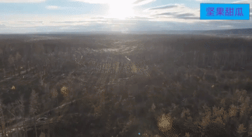 库皮扬斯克首功，俄媒拍了史诗级大片，库皮扬斯克附近的树林田野中，FPV留下的光纤