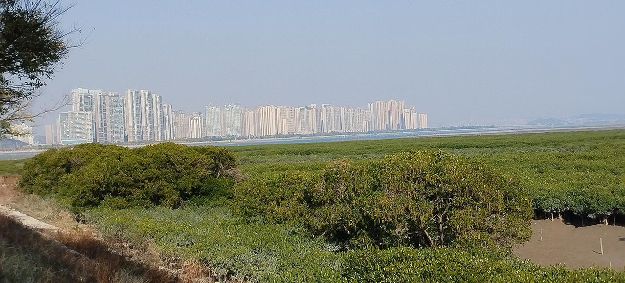 10天！只要10天以色列的弹药消耗基本上也就差不多了。上一次是12天，以色列就