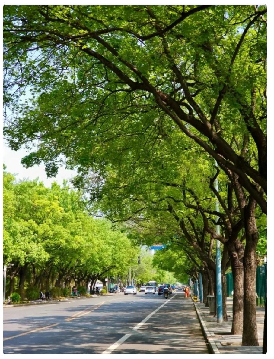 提前通知一下，让大家有个心理准备，10天以后，也就是7月15日9点56分正式