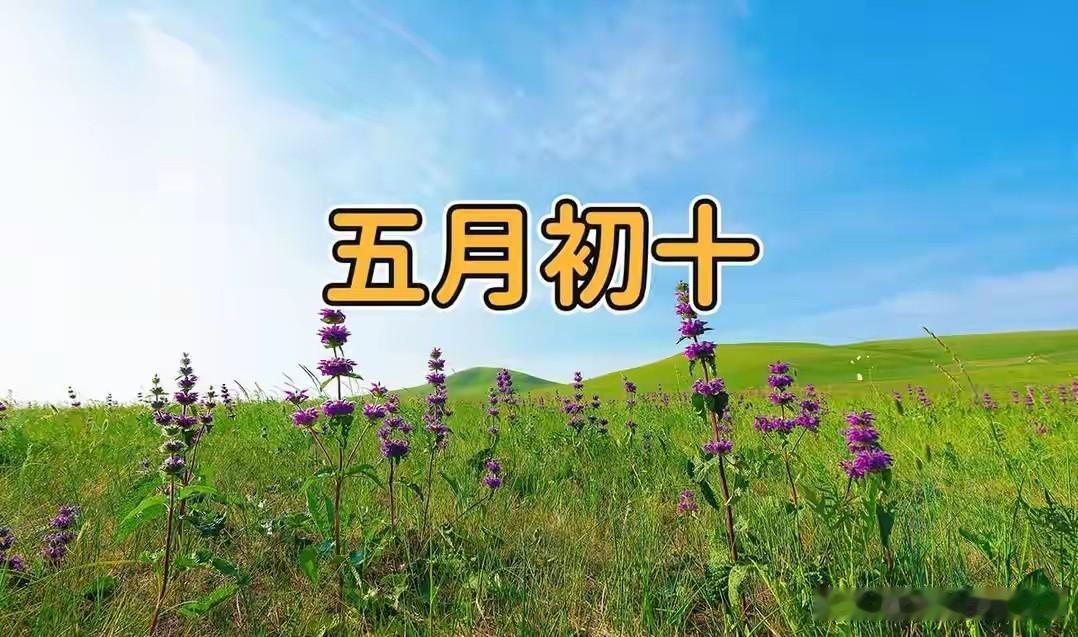 今日五月初十，讲究1要收，2要藏，吃3样，忌2事，安康富足日子顺农历五月初