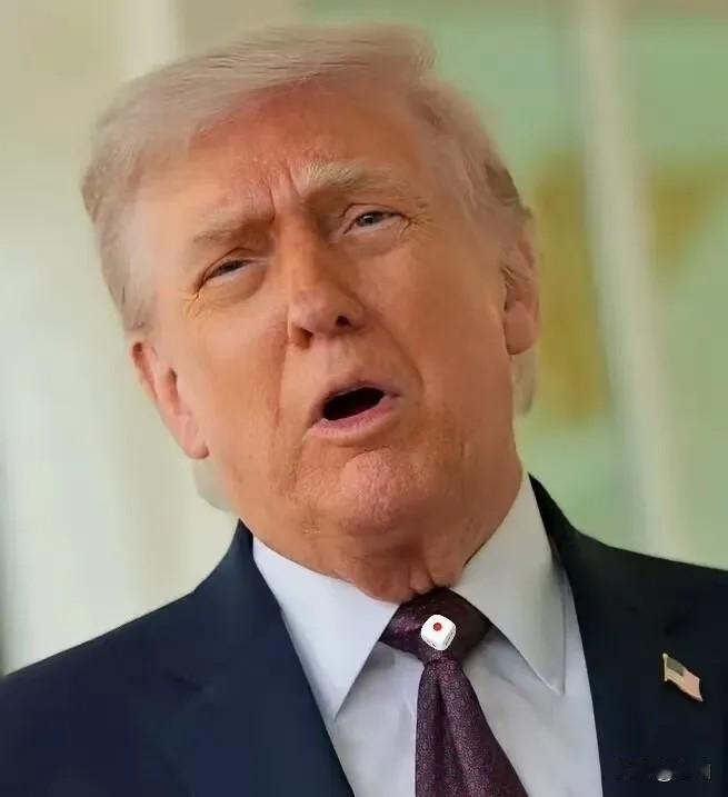 美国新消息！4月17日电，美国美术委员会16日初步批准美国总统特朗普在首都华盛