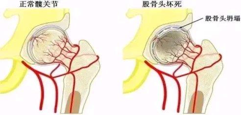 刷到这个新闻的时候我整个人都看愣了，父子俩在工地干重体力活，每天连饭都顾不上正经