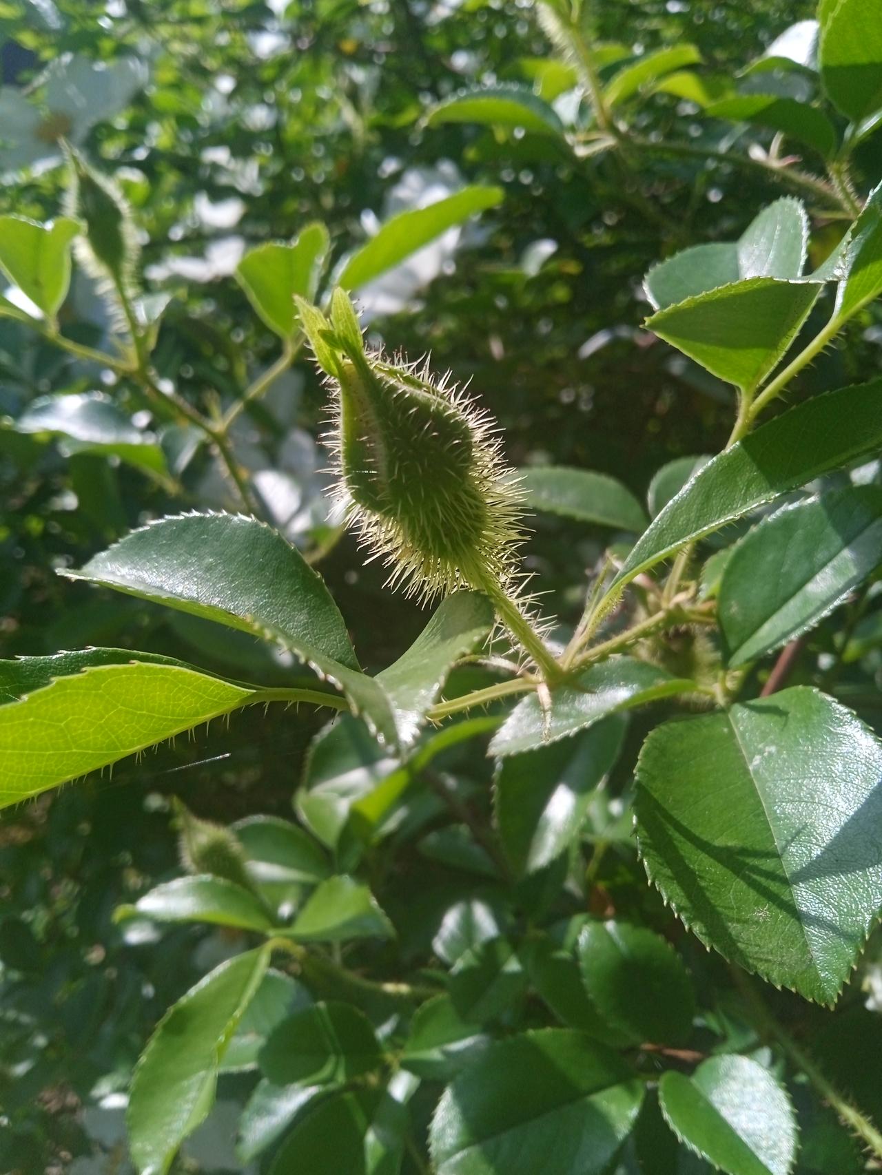 如果一个家庭买了商品房不居住，特别是长期空房无人居住，甚至都不装修的，那么就直接