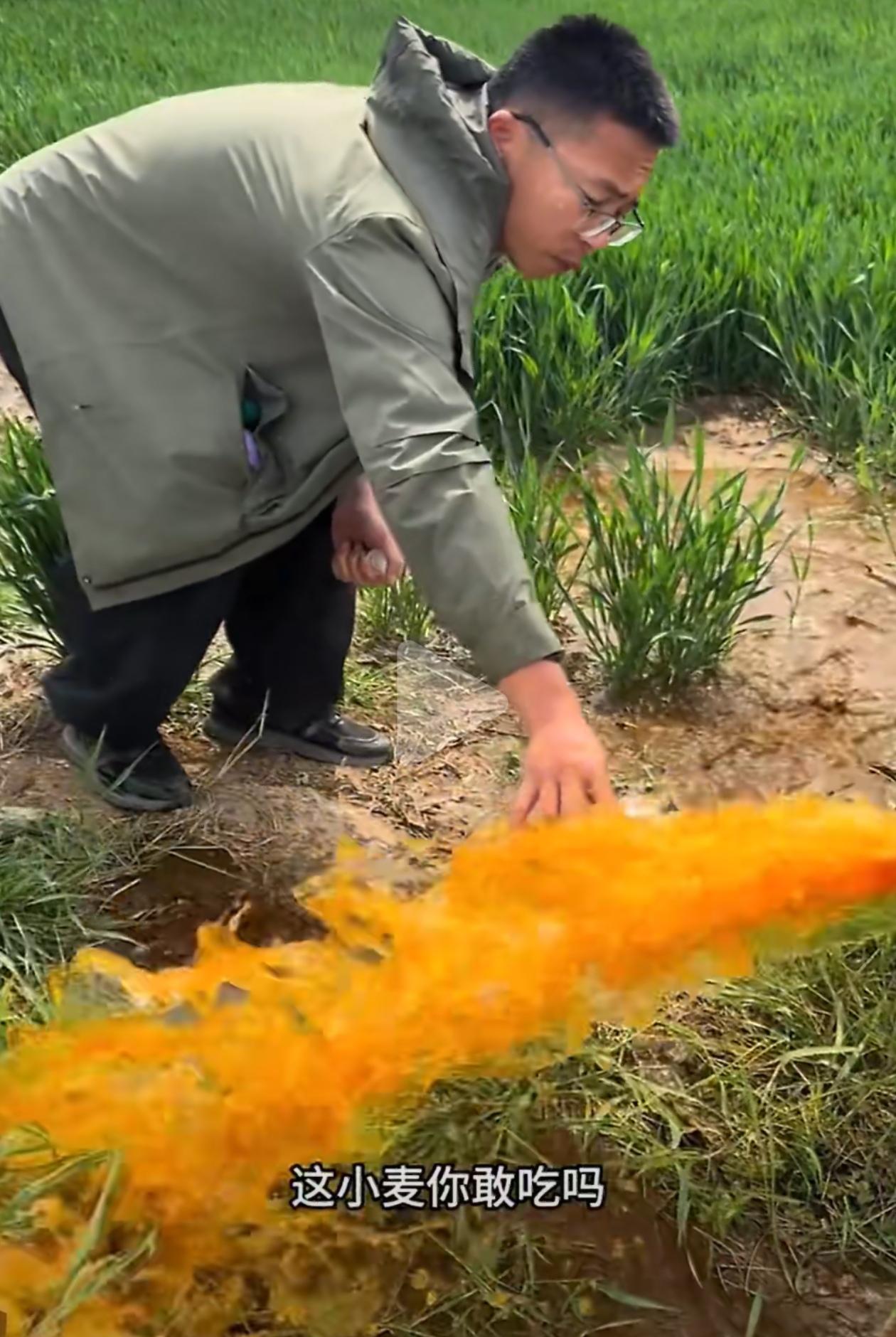 北京赵作明博士/律师点评:个人的努力可以改变世界、实现美好。律师和公益人士等