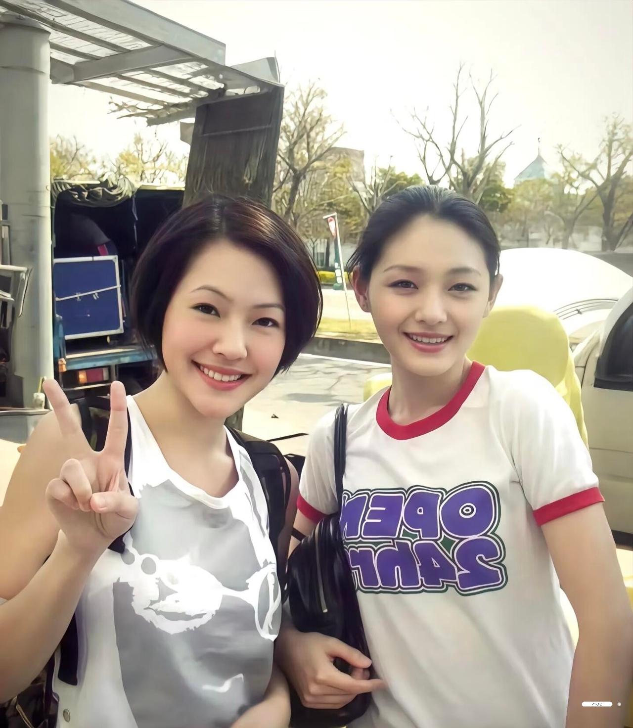 大S走后，再也没有人，把小S当成第一个小孩来爱了。十几岁替她挡下校园里的刁