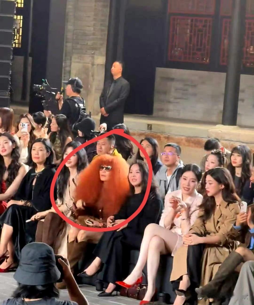 咱就说这张照片儿里有两个不合时宜。第一个就是张蔷的那个金毛狮子头，一个人占三个